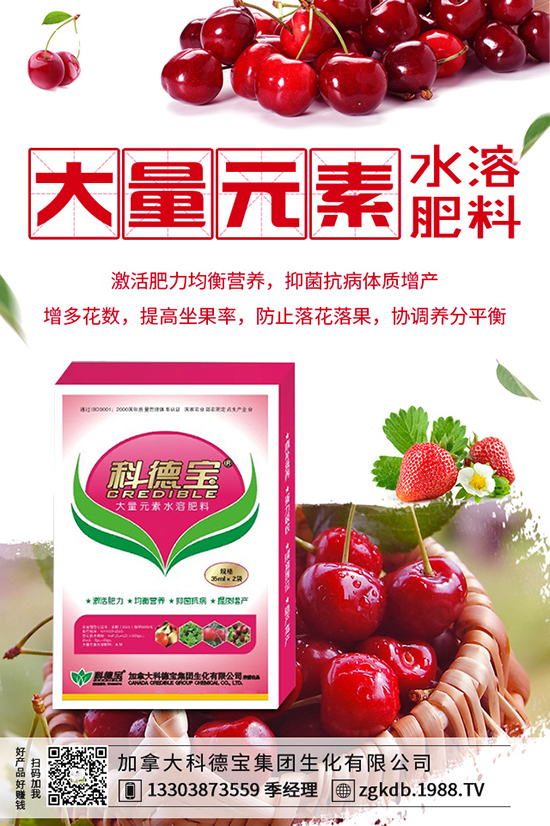 2019-12-21���؃r������ӑB(t��i)�������Xһ����