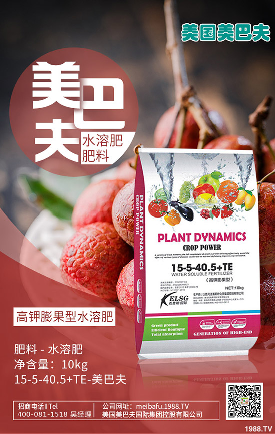     構(gòu)樹(shù)產(chǎn)地在哪里？種植構(gòu)樹(shù)國(guó)家還補(bǔ)貼！2020構(gòu)樹(shù)種植前景如何？賺錢(qián)嗎？