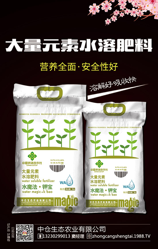     2019��12��28�ս���������(n��i)��(f��)�Ϸʃr���߄ݼ��������u