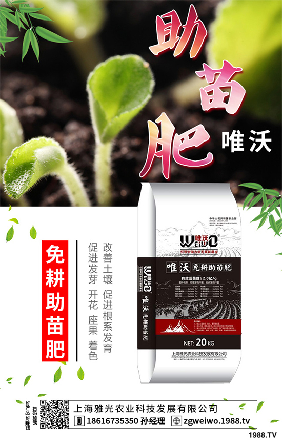     ɽˎʲô�r(sh��)����գ�ɽˎ���A�ط�������Щ��