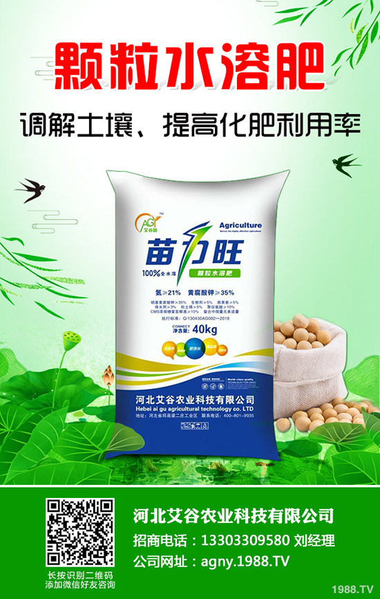 ���Ĳ�����ʩ�ʮa(ch��n)���������Ĳ�ʩ�ʼ�������Щ��