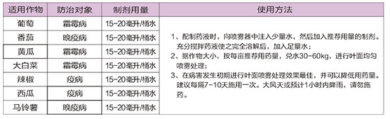 40%ϩ������˪��-�A��˪��-�A������3