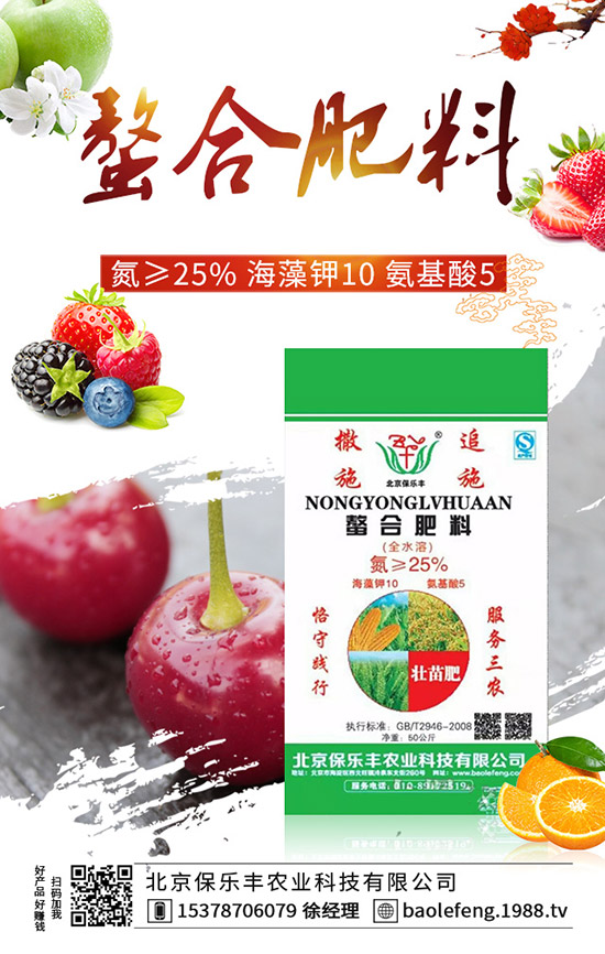 陽臺番茄怎么種？陽臺番茄種植方法 