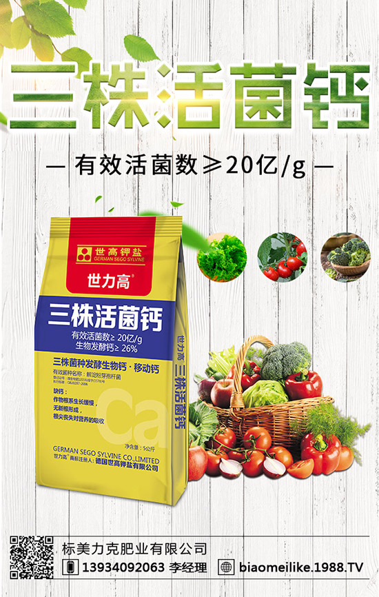     2019��8�µ��������������Ј��r����������������A�y