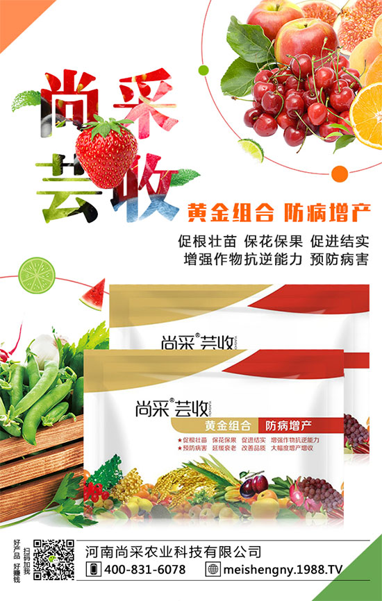 ���������ʵ͵�ԭ����ʲô�أ�������������������