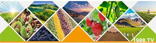 �����������L���߉��������ͷ���Ѹ����������ƌW(xu��)���L���g�޴���