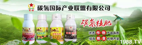 �����������L���߉��������ͷ���Ѹ����������ƌW(xu��)���L���g�޴���