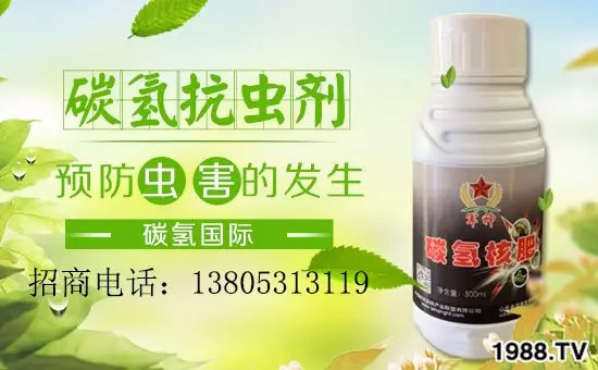 �����������L���߉��������ͷ���Ѹ������������ƌW(xu��)���L���g�޴���