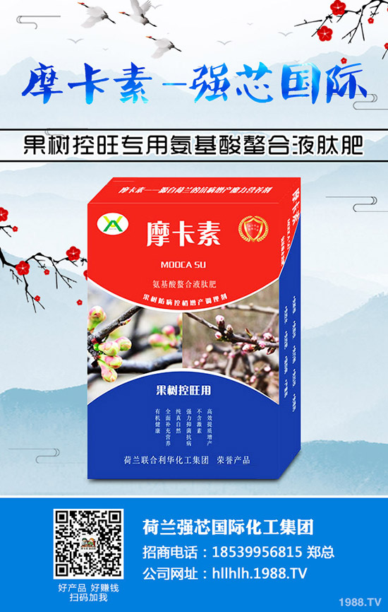 ����������Щ��̎�����ѵĠI(y��ng)�B(y��ng)�r(ji��)ֵ����Ч��