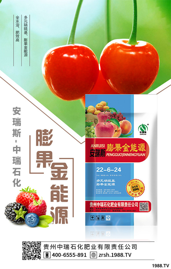 �n��ԓ����������n�����ڹ������g(sh��)Ҫ�c(di��n)