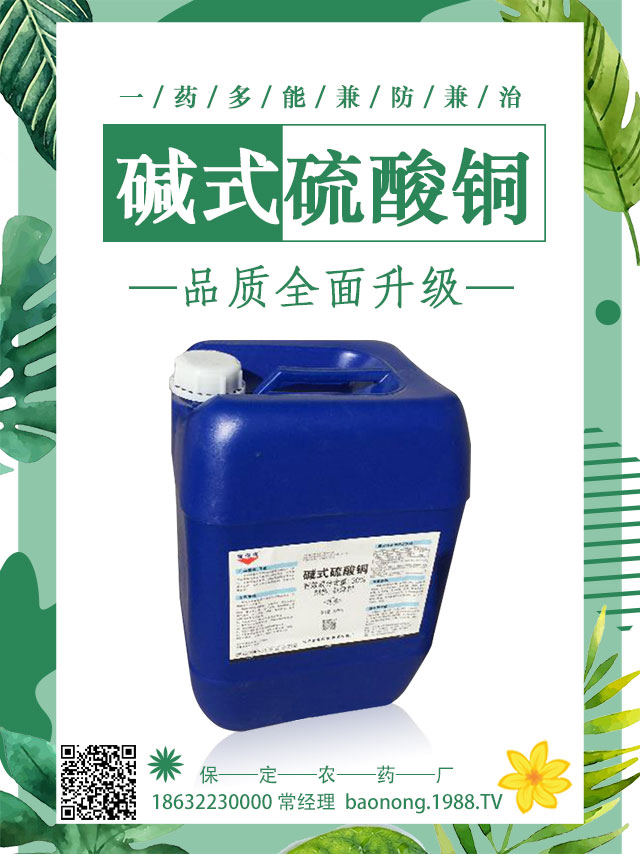 馬鈴薯病害怎么防治？馬鈴薯主要病害防治