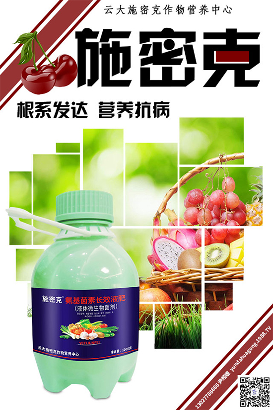 大蔥霜霉病危害巨大，到底是如何引起的？大蔥霜霉病防治措施