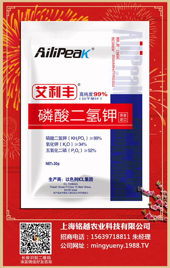 紫薯如何種植，紫薯種植方法和注意事項(xiàng)！