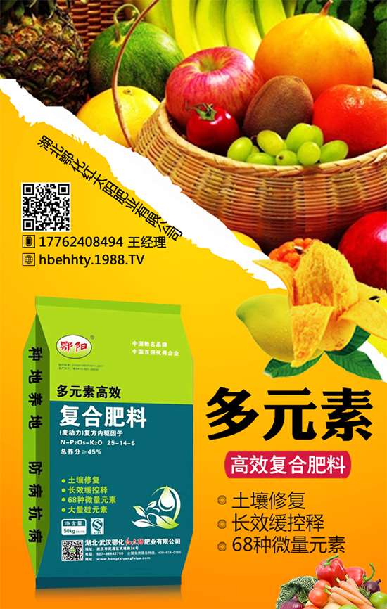 黃皮火龍果怎么種植？黃皮火龍果的種植技術(shù)！