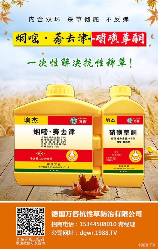 ��������ô�޽ӣ�������޽ӷ�����