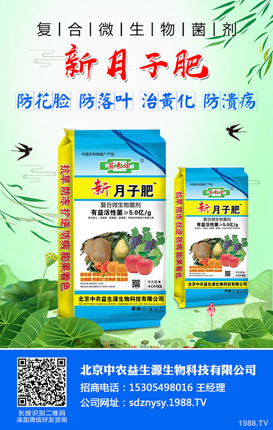 芹菜燒心、空心、葉柄開裂什么原因？芹菜燒心防治方法有哪些？