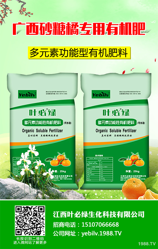     �㶹���ճ������г�Ҋ���߲����I�B(y��ng)�rֵ�S���������˂�ϲ�������㶹�Nֲ�^�����y������F(xi��n)һЩ���������u�������㶹�P���Ƿǳ���Ҋ��һ�N����������r���ξ͕���(d��o)�º��m����(y��n)�؜p�a(ch��n)����ô���㶹�P������ЩΣ���Y������ԓ��η�����