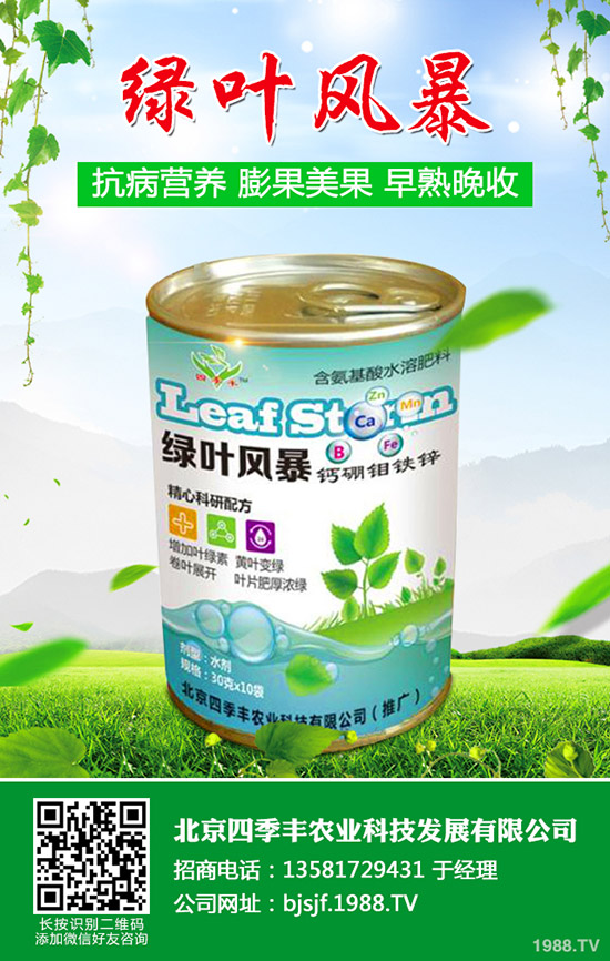 西瓜什么時(shí)候種植好？西瓜的種植時(shí)間和方法！