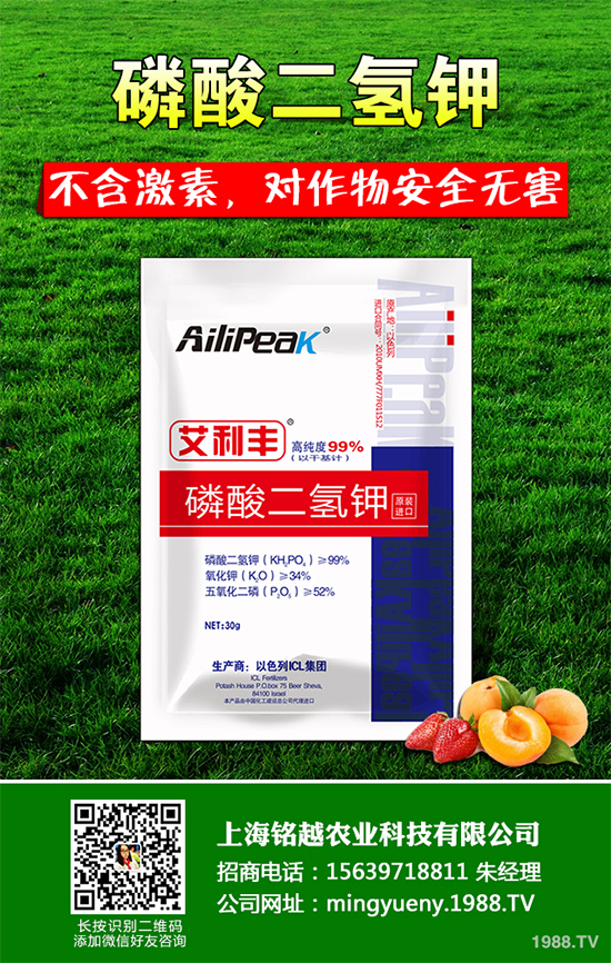 豌豆根腐病有哪些危害表現(xiàn)?該怎樣防治?豌豆根腐病防治方法