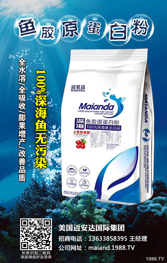     2019��9����Ѯ��(gu��)��(n��i)��(f��)�Ϸ��Ј�(ch��ng)�r(ji��)������C�Ϸ���