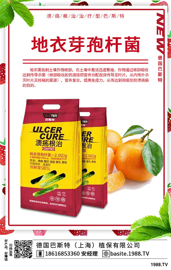 �t��̦��ô�N���t��̦�ķNֲ�r(sh��)�g���Nֲ������