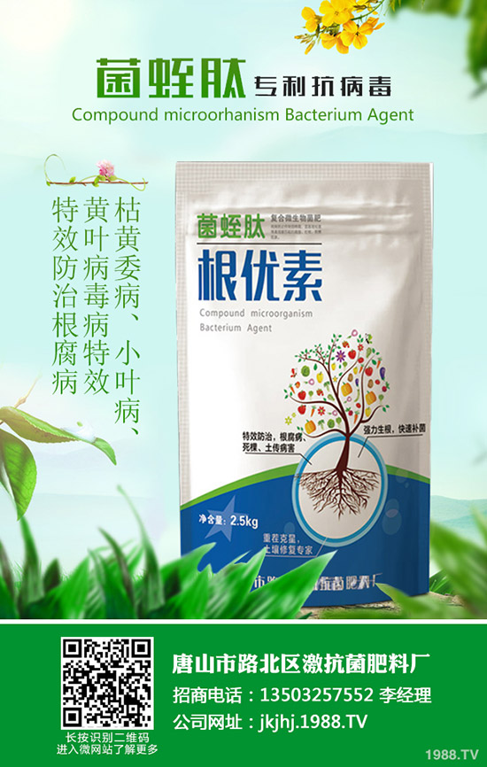 黑皮冬瓜什么時(shí)候種合適？黑皮冬瓜高產(chǎn)種植技巧！