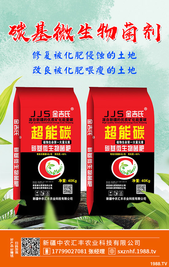 木瓜怎么種植效果？學(xué)會這幾點(diǎn)，輕松大豐收！