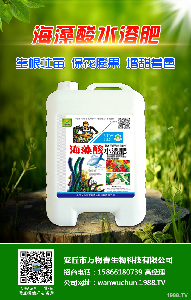 �ﲥС����ô����|(zh��)�����ﲥС������|(zh��)����Ҫ�c(di��n)