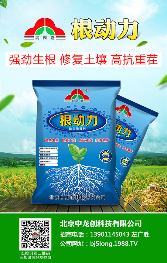 ������̦���l(f��)��ԭ������Щ��������̦�����δ�ʩ��