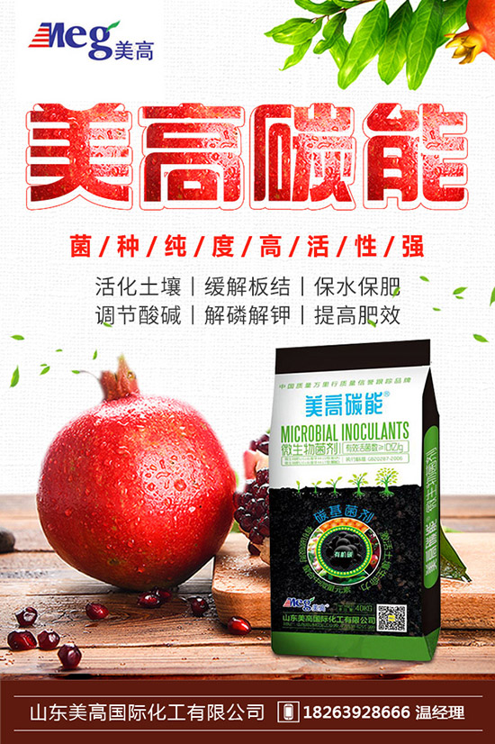     �＾��ͥ�(y��ng)�_(t��i)�Nֲʲô�߲˺����ﶬ�(y��ng)�_(t��i)�N�˵ķ�����