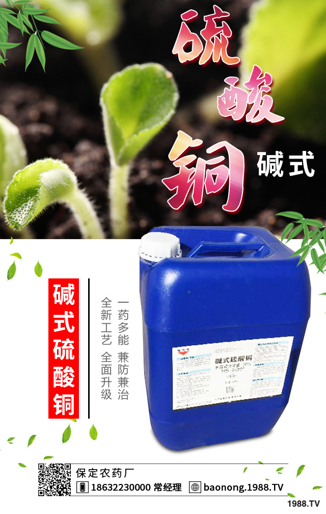 如何巧治蘇鐵葉斑病？蘇鐵葉斑病防治技巧