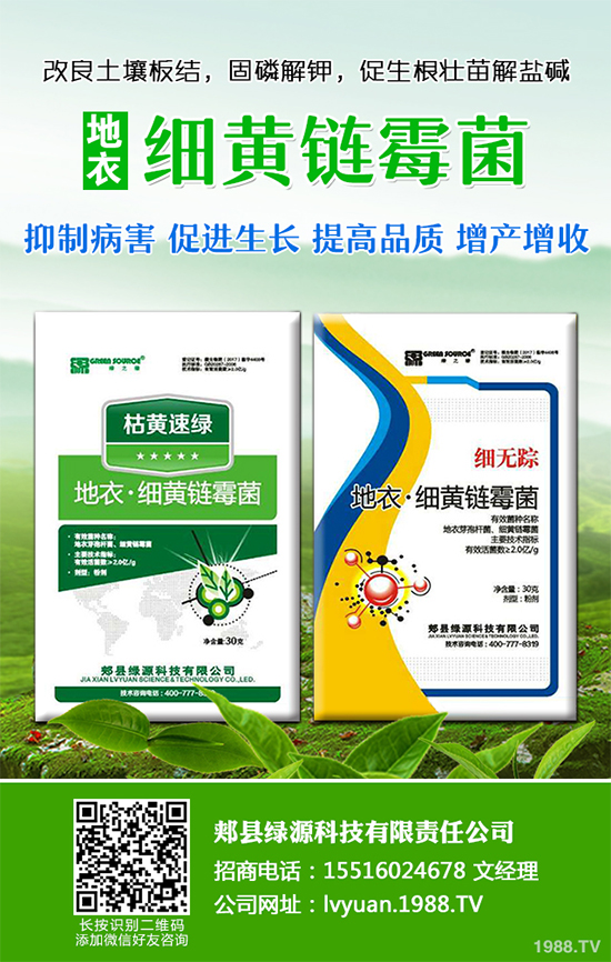 九月種什么蔬菜比較好？2019年9月蔬菜種植指南