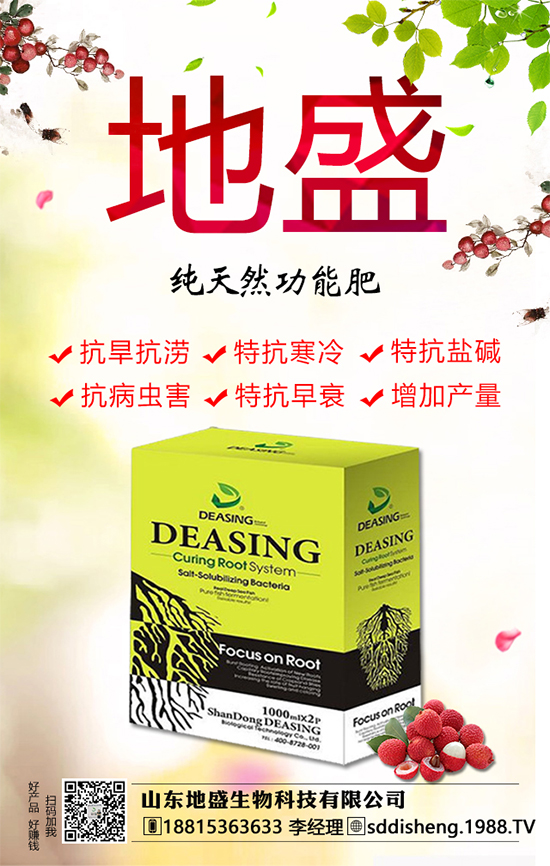 油茶樹的種植管理方法，油茶樹的經(jīng)濟價值如何？
