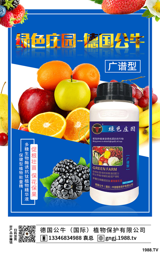 如何種植紫薯更高產(chǎn)，紫薯的種植方法與前景！