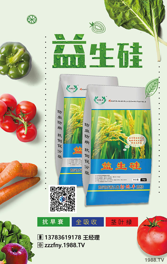 �J����ʩ���������}�Ľ�Q������ֵ���ղأ�