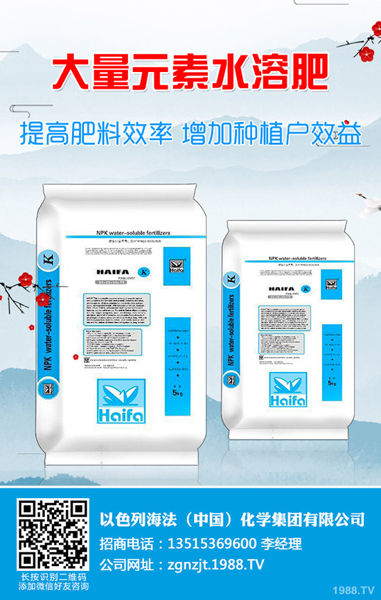     2020����(ji��)���g��⛷�����������1��31�ս���⛷ʃr�������