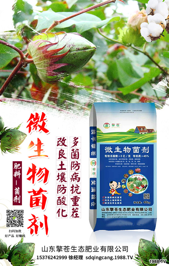     ����(ji��)���R��2020��1�������ܷ�ͦ�r�����������߄��A�y��