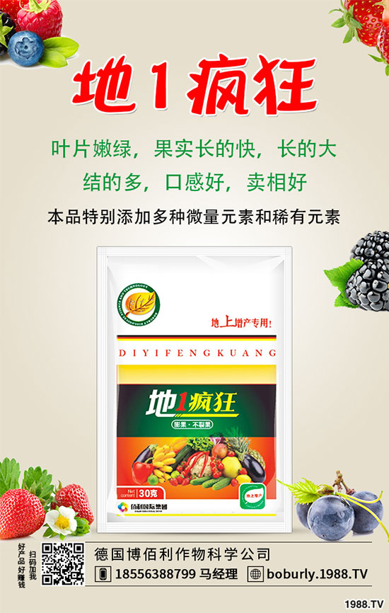 �����仨�����ʲôԭ������������������ʩ��