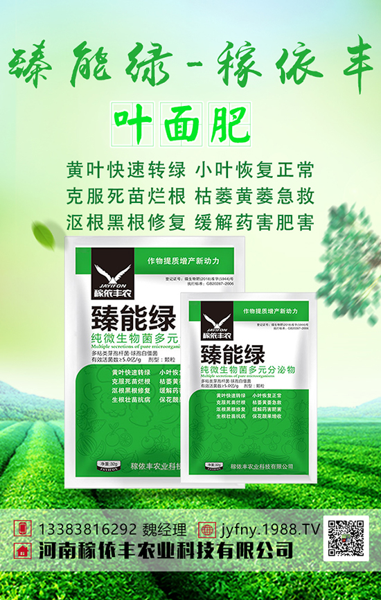 綠豆想高產(chǎn)，綠豆科學上肥技術大家要清楚！