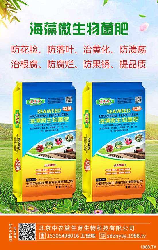     2020春季種植馬鈴薯技術要點！如何催芽？注意事項有哪些？