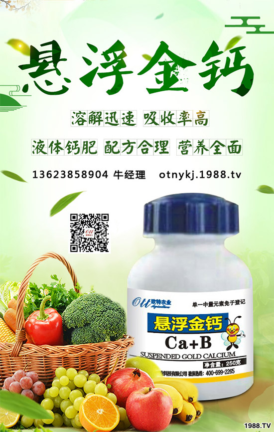 紅藤有哪些神奇功效？紅藤的功效作用及禁忌人群