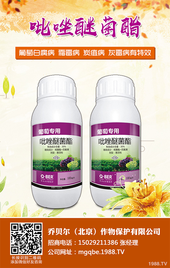 ����ù��