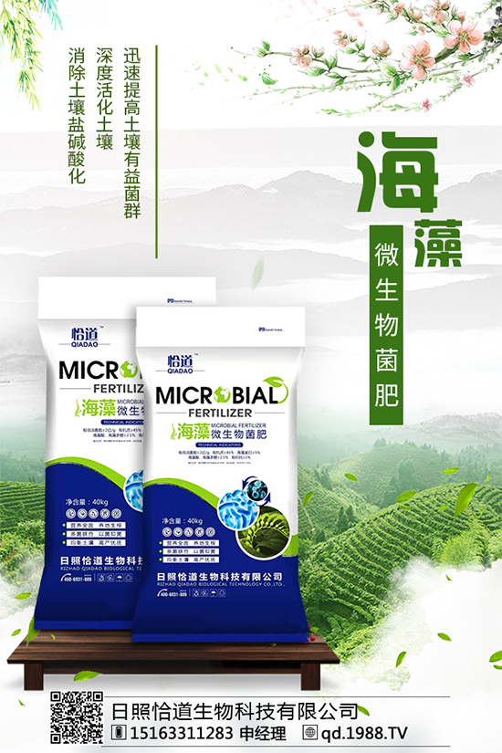     ��������Щ�I�B(y��ng)�rֵ����������ʲô��̎��