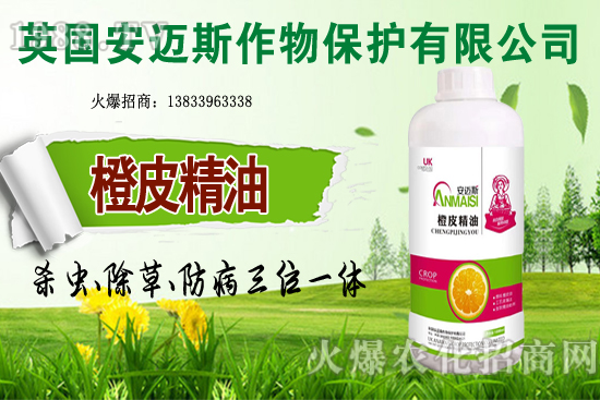 10�·Nֲ��Щ�߲˸����m�����g����Ҫ���c(di��n)ץ���Ď��c(di��n)��