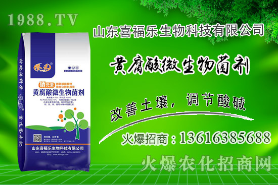 花生價格穩(wěn)中偏強！2020年10月14日花生價格行情分析