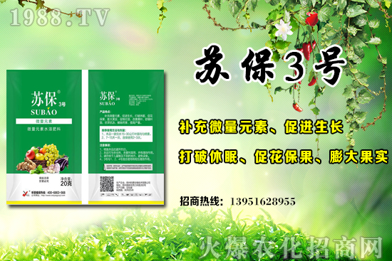 �����S�ϑ�(y��ng)ԓ��ʲô�r(sh��)��ʩ�ʣ������S�ϵ׷�ʩ�õ�3��(g��)�`�^(q��)��