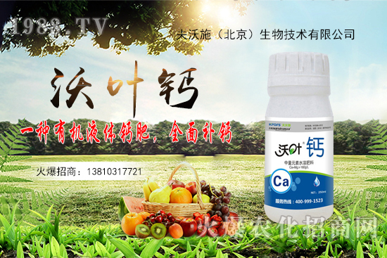 花生還會再漲嗎？2020年10月20日花生價格行情