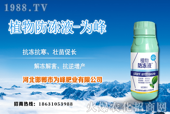 蘆薈的生長規(guī)律有哪些？蘆薈種植方法及種植注意事項(xiàng)！