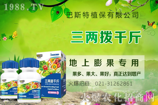 Ӱ�ţϥ��ϵ�����L��������Щ��ţϥ����������ʲô�~�����