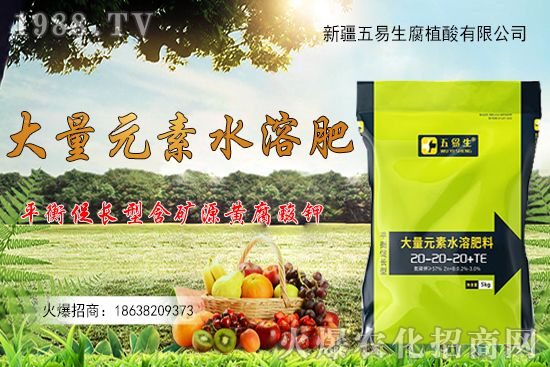 2020年10月23日花生價(jià)格行情綜述分析